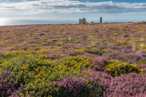 Cliff Top St Agnes Poldark