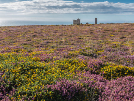 Cliff Top St Agnes Poldark
