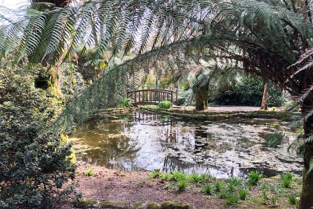 A view of Trengwainton Garden, a National Trust site in Cornwall.