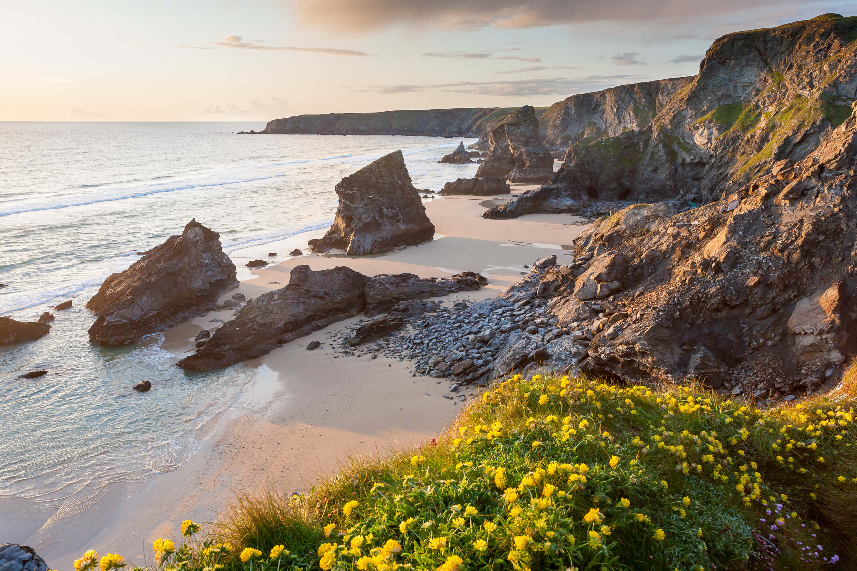 Top 10 Dog Friendly Beaches in North Cornwall Cornish