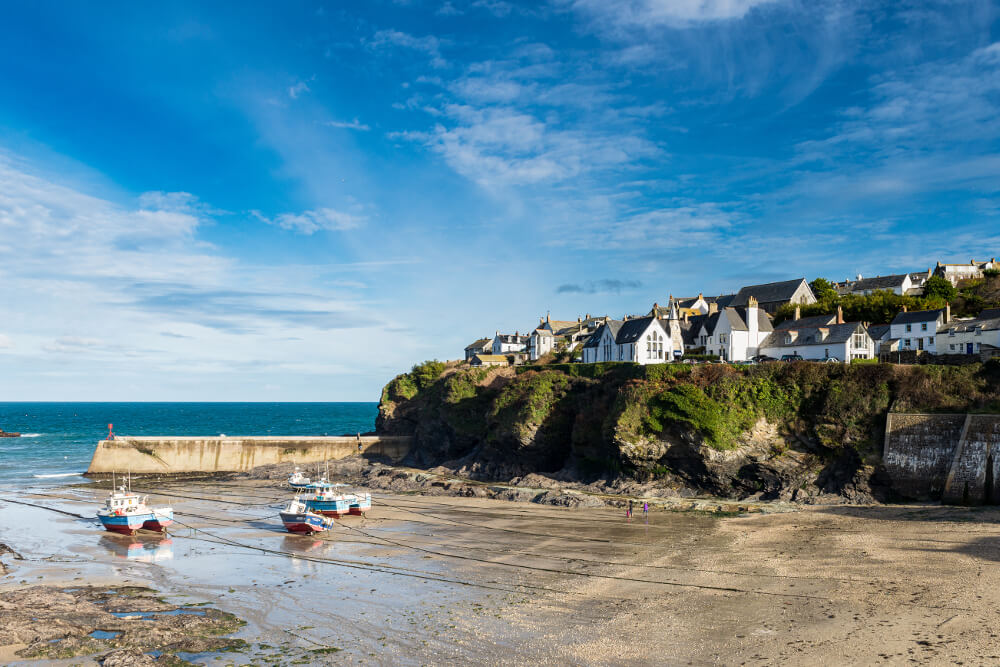 Dog Friendly Beaches North Cornwall