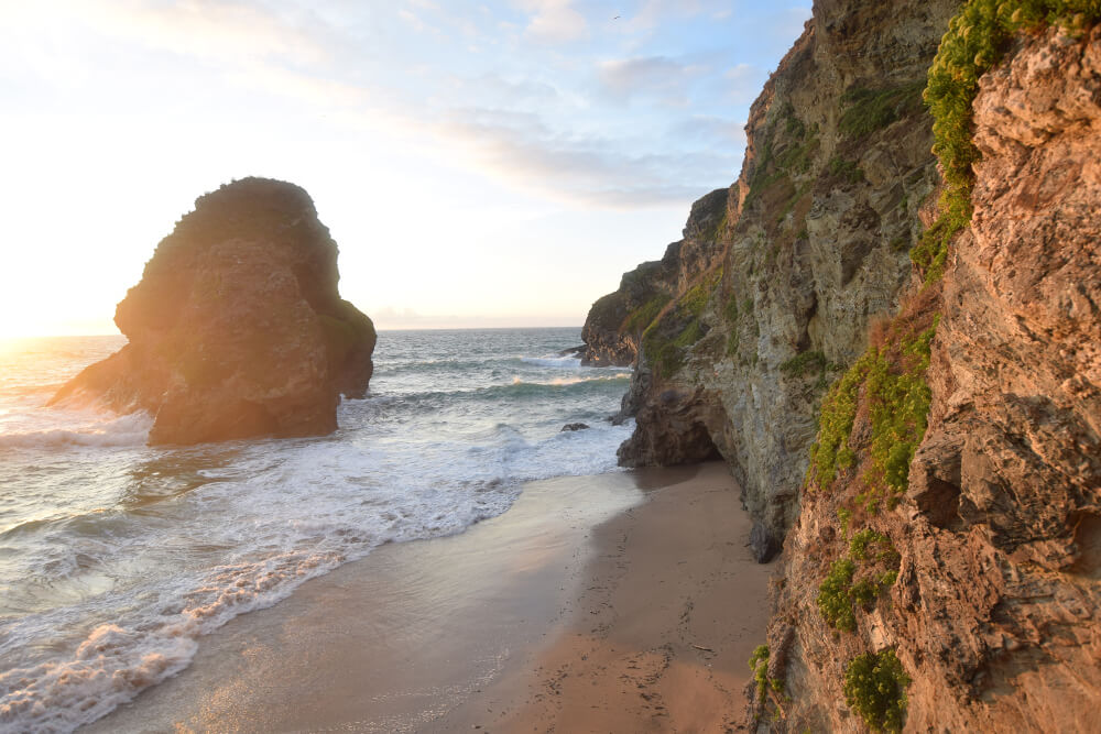 Dog Friendly Beaches North Cornwall