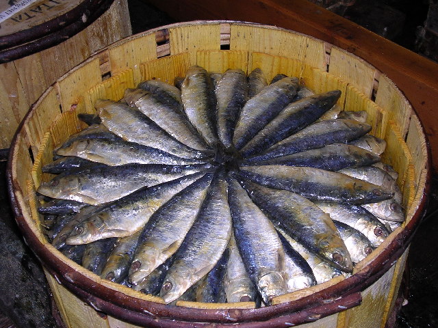 Pilchards Cornish Delicacies