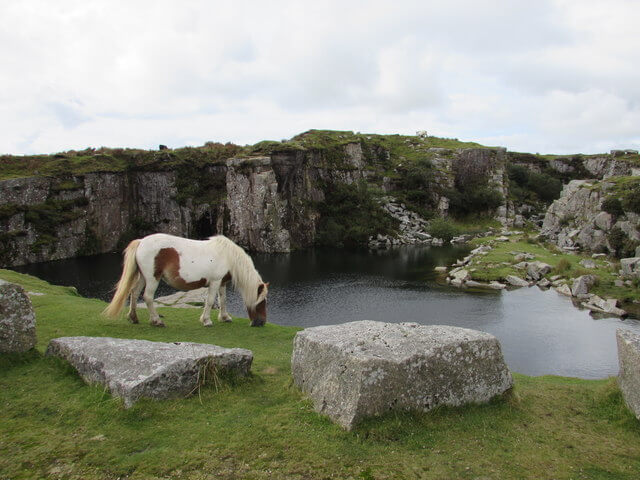 Gold Diggings Quarry (3), Bodmin Moor, Cornwall