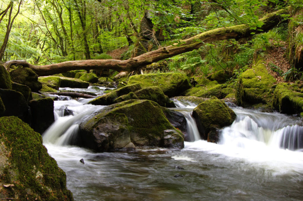 Photograph of Golitha Falls near Liskeard in Cornwall