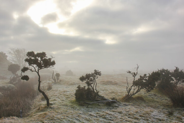 Mist covered Bodmin Moor