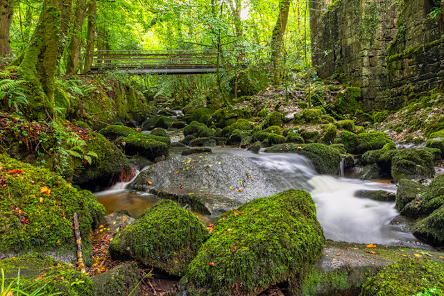 Kennall River in Kennall Vale Nature Reserve