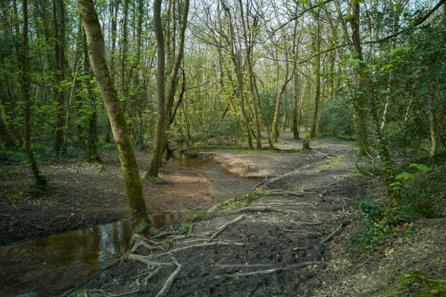 Pentewan Valley Clay Trail