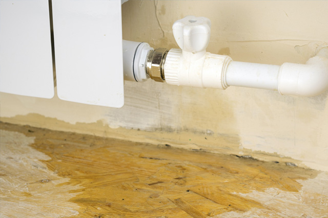 Leaking radiator with a pool of water underneath