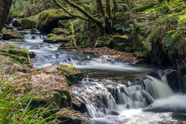A long exposure photograph of the River Fowey at Golitha Falls in Cornwall.