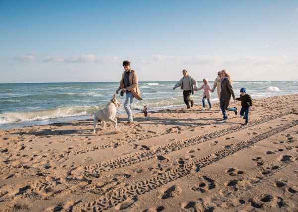 A complete guide to making your holiday home dog friendly