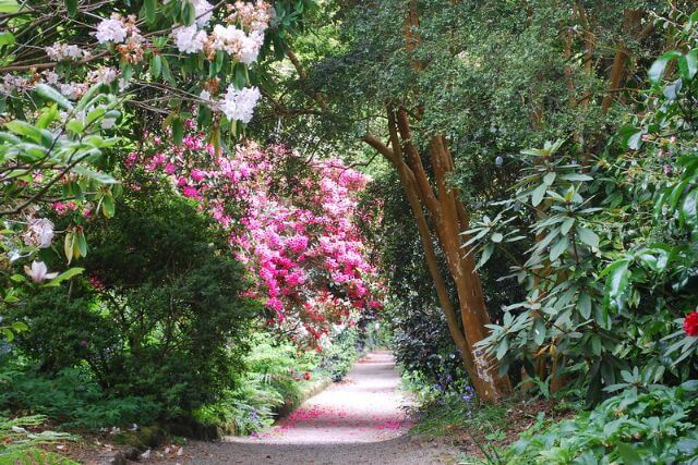 Coronation Celebrations 2023: What’s on in Cornwall? - A floral path at Trengwainton Garden