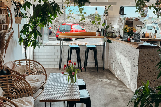 Plant-filled coffee shop in Newquay