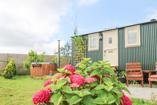 View of Foxglove, Camborne across the garden