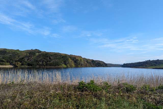 View across still water at Loe Pool, Porthleven, with grass in the foreground and woodland around the pool's edges
